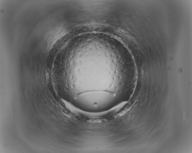 X0000073701302200608031204