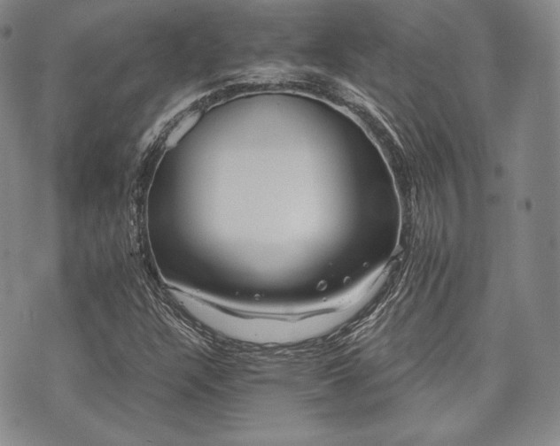 X0000073701304200608031204