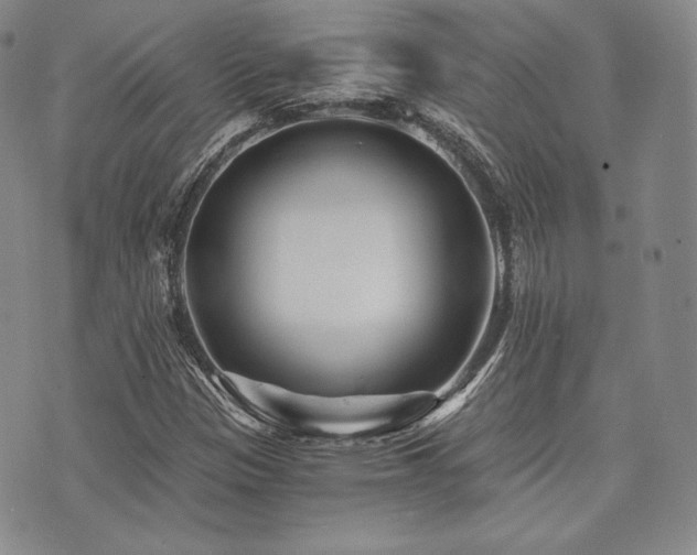 X0000073701305200608031204