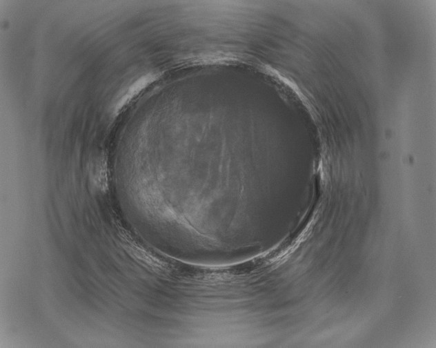 X0000073701306200608031204