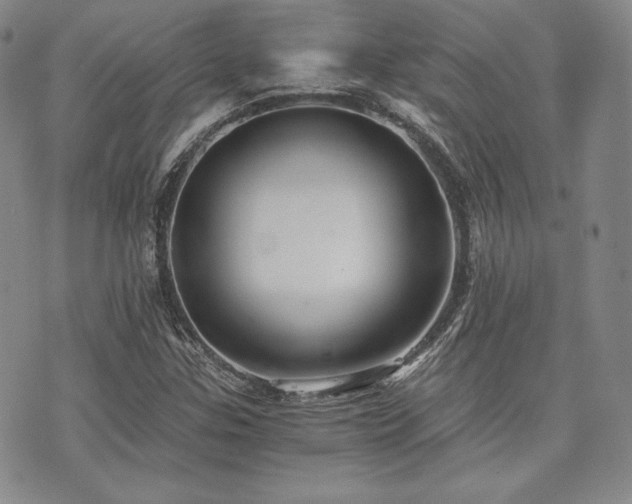 X0000073701307200608031204