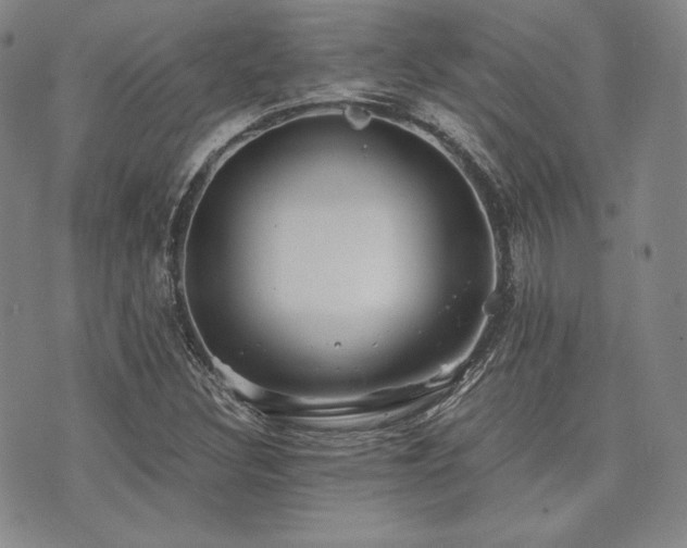 X0000073701308200608031204