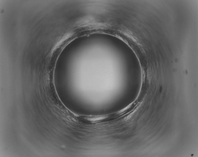 X0000073701309200608031204