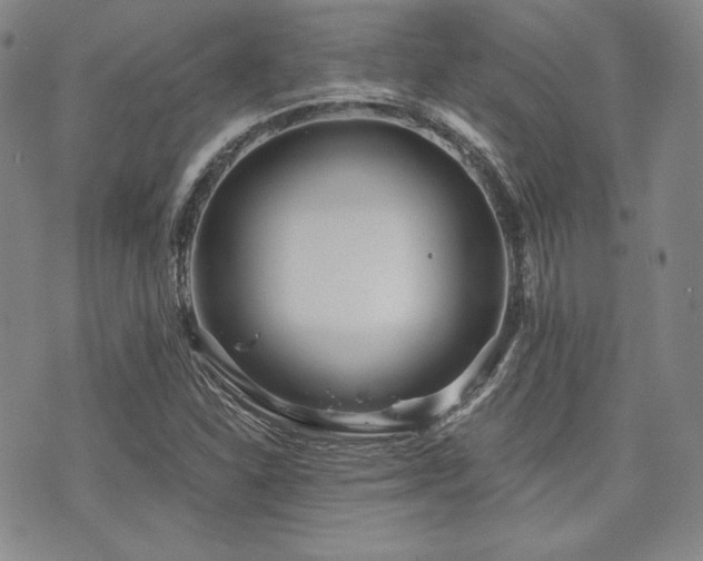 X0000073701310200608031204