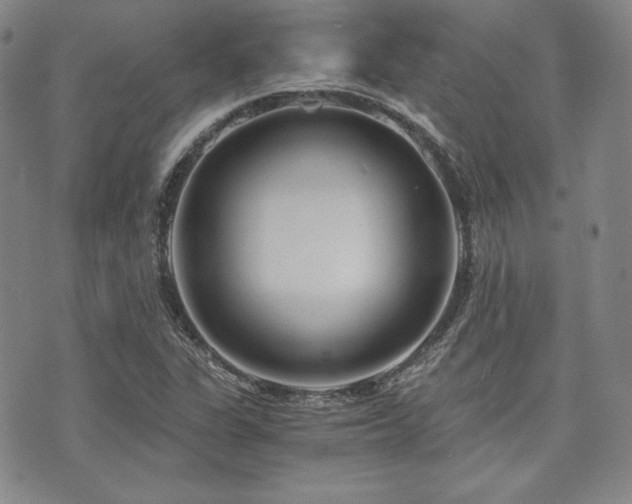 X0000073701311200608031204