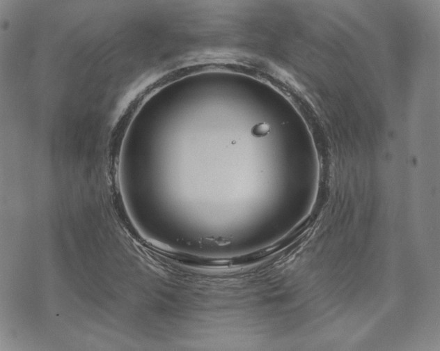 X0000073701312200608031204