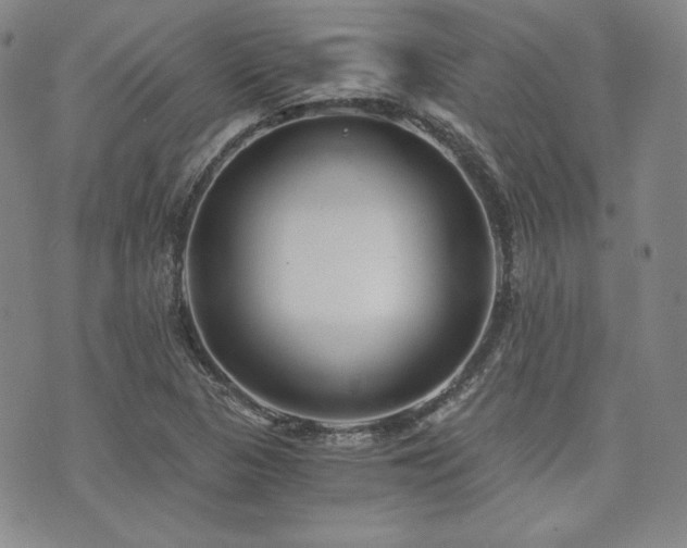 X0000073701313200608031204