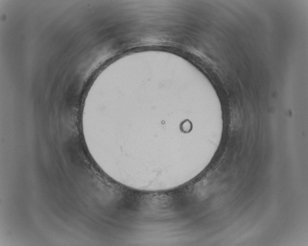 X0000073701314200608031204