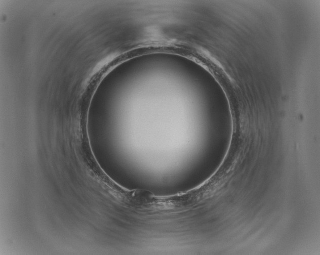 X0000073701315200608031204