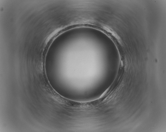 X0000073701316200608031204