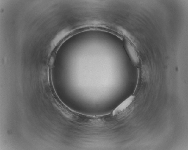 X0000073701320200608031205