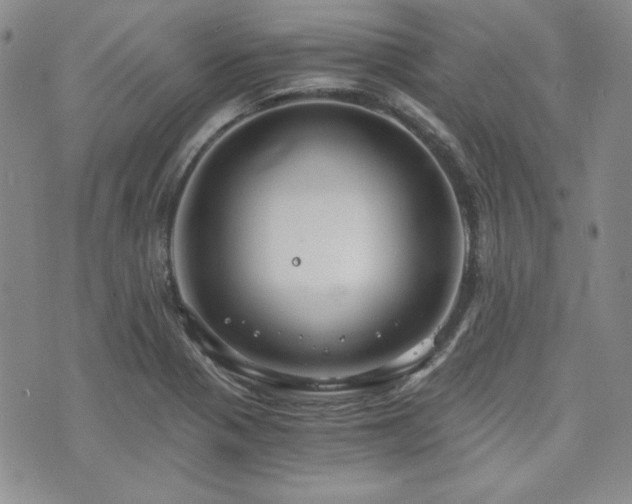 X0000073701321200608031205