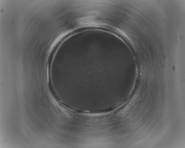 X0000073701323200608031205