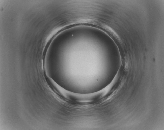 X0000073701324200608031205