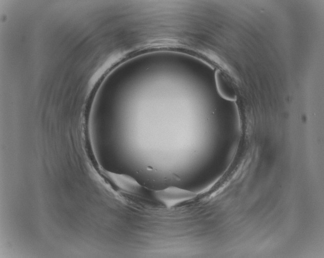 X0000073701325200608031205