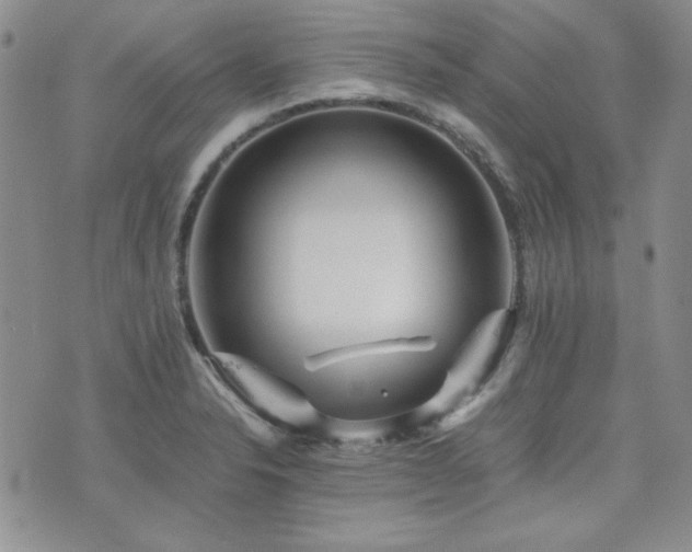 X0000073701326200608031205