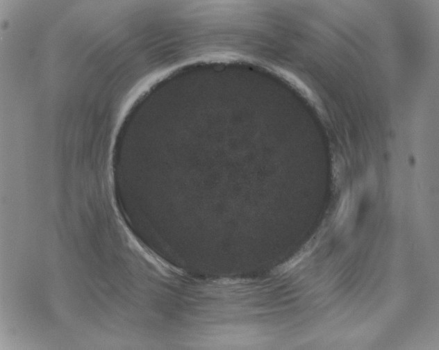 X0000073701327200608031205