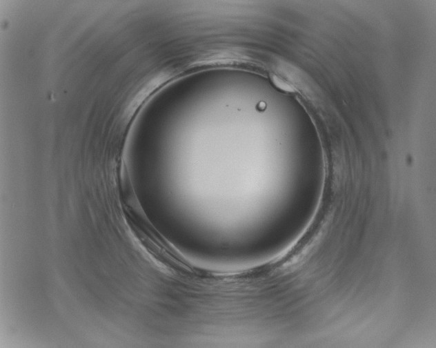 X0000073701329200608031205