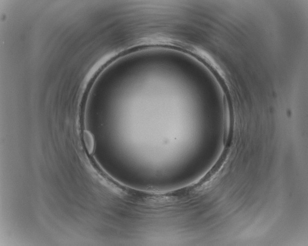 X0000073701331200608031205