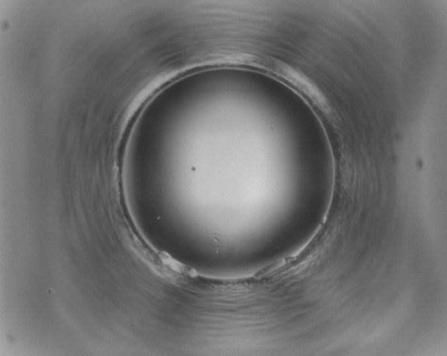 X0000073701332200608031205