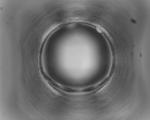 X0000073701333200608031205