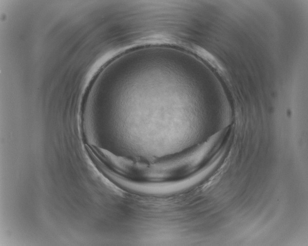 X0000073701334200608031205