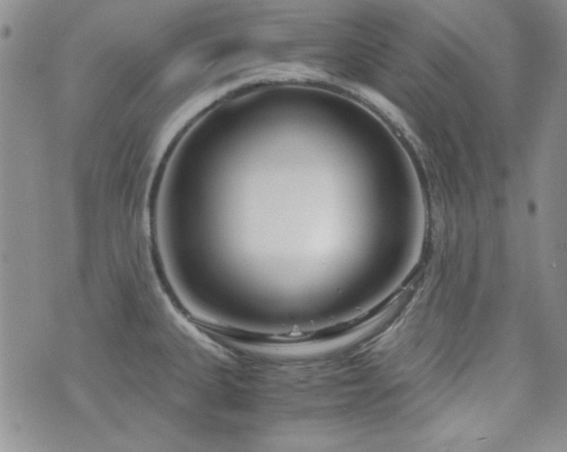 X0000073701335200608031205