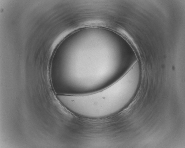 X0000073701336200608031205