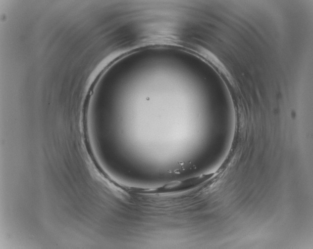 X0000073701339200608031205