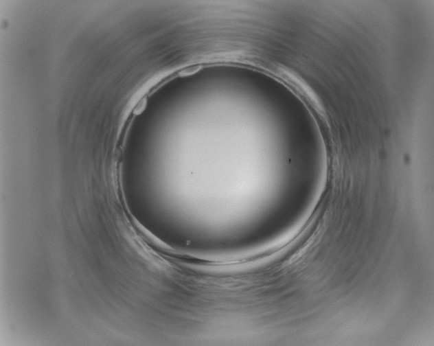 X0000073701340200608031205