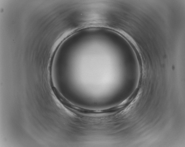 X0000073701341200608031205