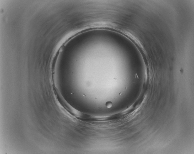 X0000073701342200608031205