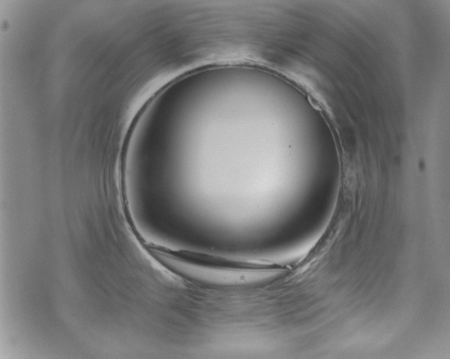 X0000073701343200608031205