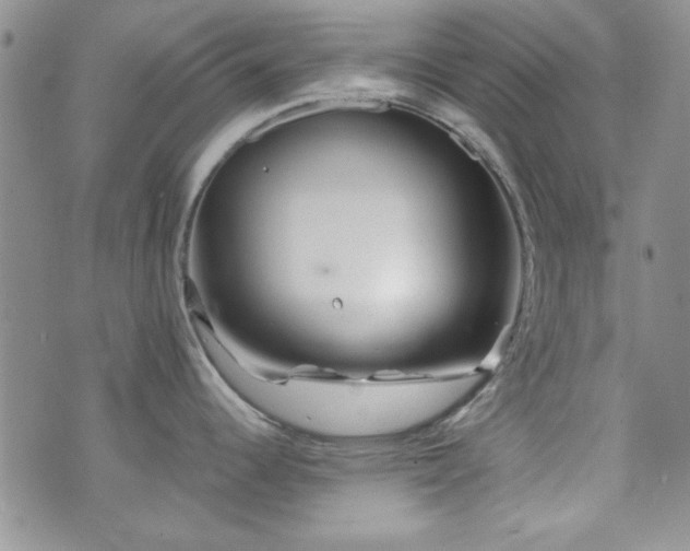 X0000073701344200608031205