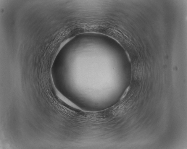 X0000073701345200608031204