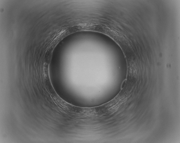 X0000073701346200608031204