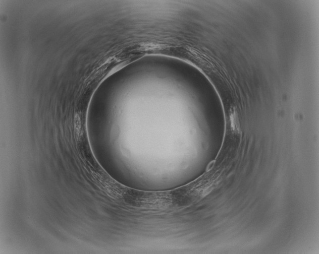 X0000073701347200608031204