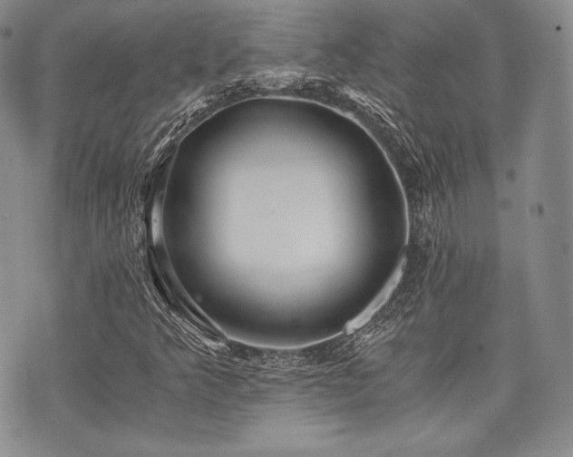 X0000073701349200608031204