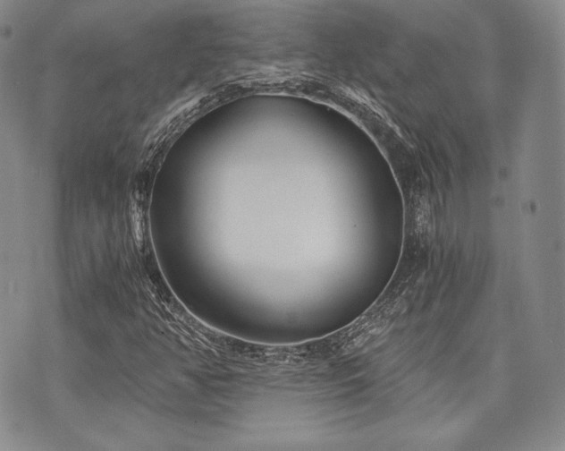 X0000073701350200608031204