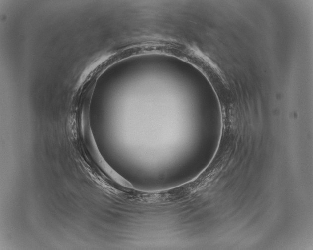 X0000073701352200608031204