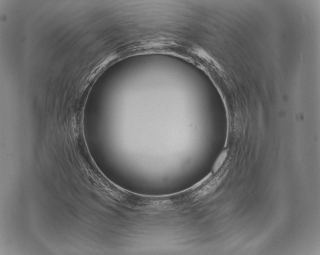 X0000073701353200608031204