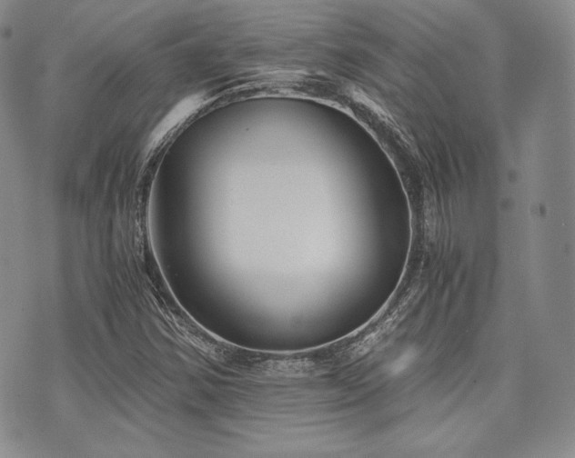 X0000073701354200608031204