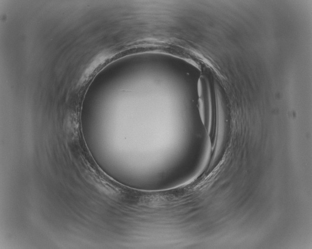 X0000073701355200608031204