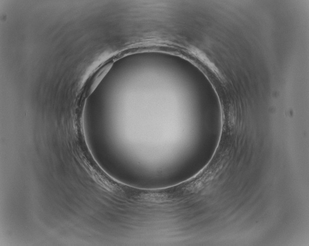 X0000073701356200608031204