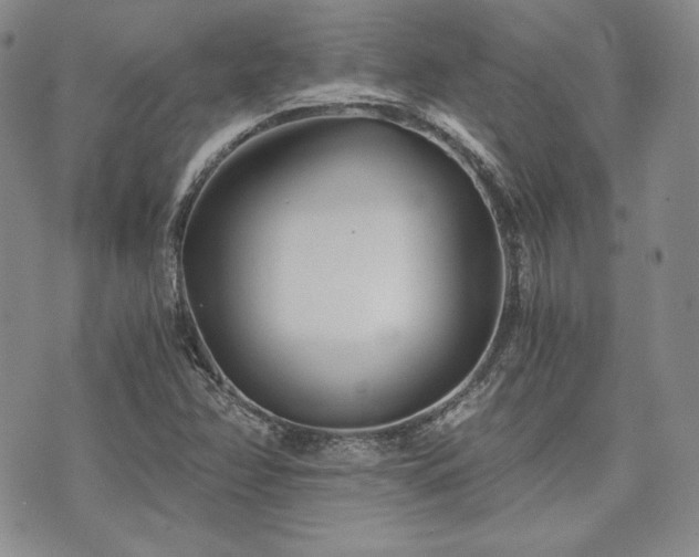 X0000073701358200608031204