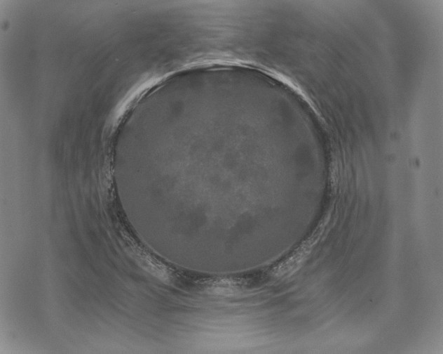 X0000073701359200608031204