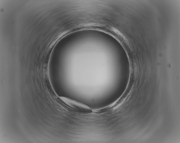 X0000073701361200608031204