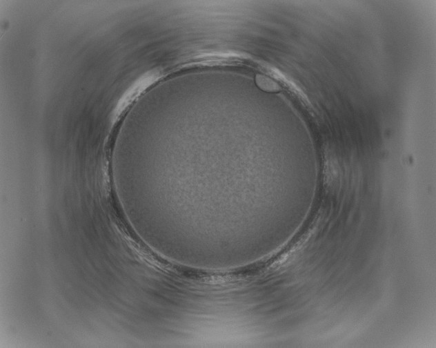 X0000073701362200608031204