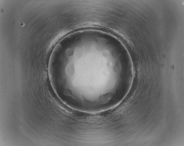 X0000073701363200608031204