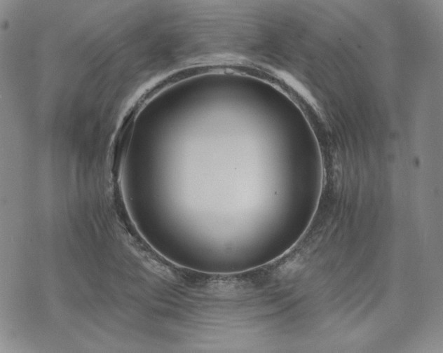 X0000073701364200608031204